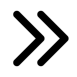 caret double right bold icon