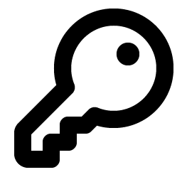 key bold icon
