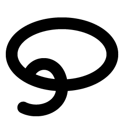 lasso bold icon