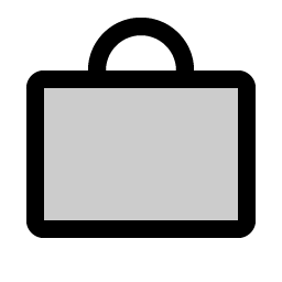 bag simple duotone icon
