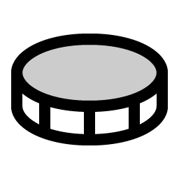coin duotone icon