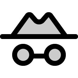 detective duotone icon