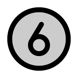 number circle six duotone icon