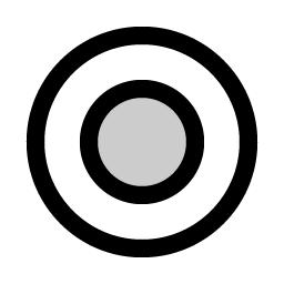 radio button duotone icon