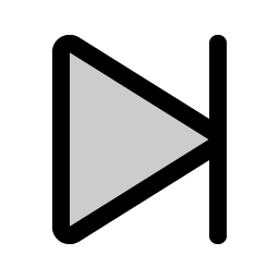skip forward duotone icon