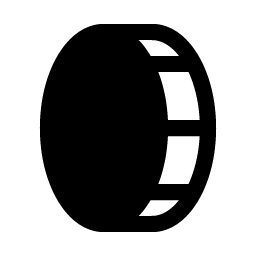 coin vertical fill icon