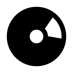 disc fill icon