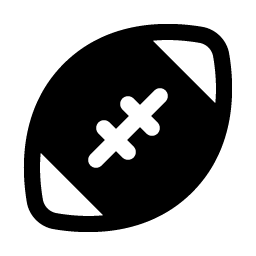 football fill icon