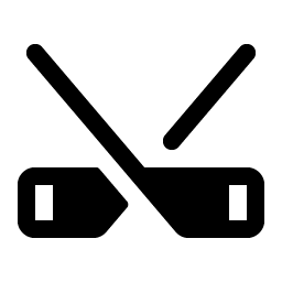 hockey fill icon