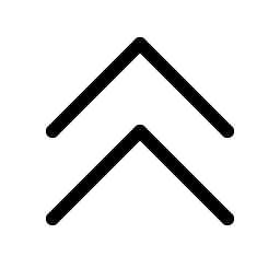 caret double up light icon