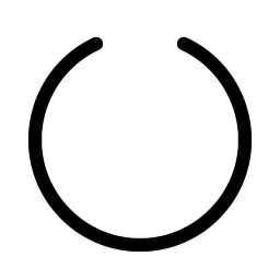 circle notch light icon