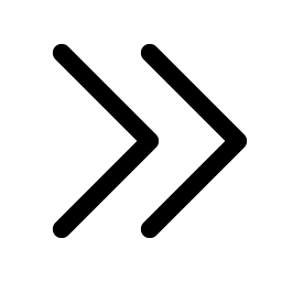 caret double right icon