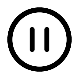 pause circle icon