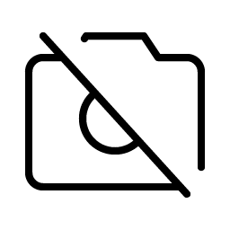 camera slash thin icon
