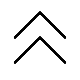 caret double up thin icon