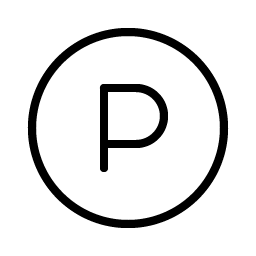 letter circle p thin icon
