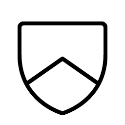 shield chevron thin icon